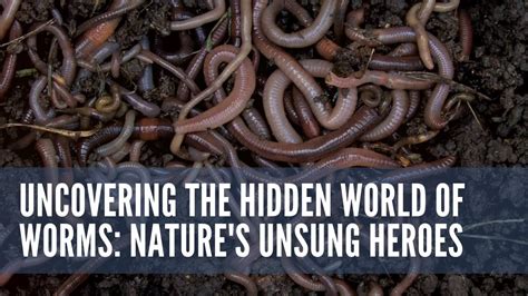  Worms, the Unsung Heroes! Unveiling the Extraordinary World of the Whisker Worm